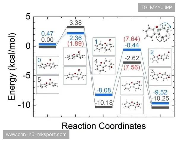 AI 研究团队公开训练数据 AI 研究团队公开训练数据